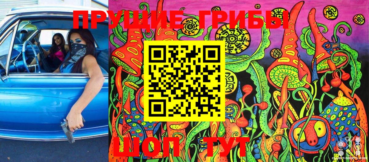 купить   Псилоцибиновые грибы GOLDEN TEACHER  Вичуга  Вход с VPN  Псилоцибиновые грибы Psilocybe 