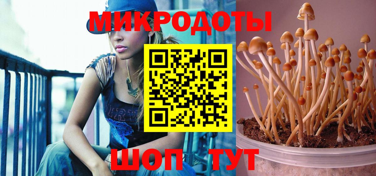 Псилоцибиновые грибы Magic Shrooms Вичуга